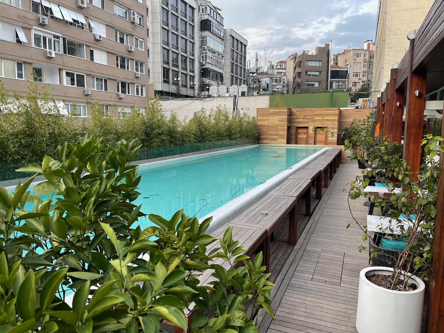 a pool with trees and plants around it