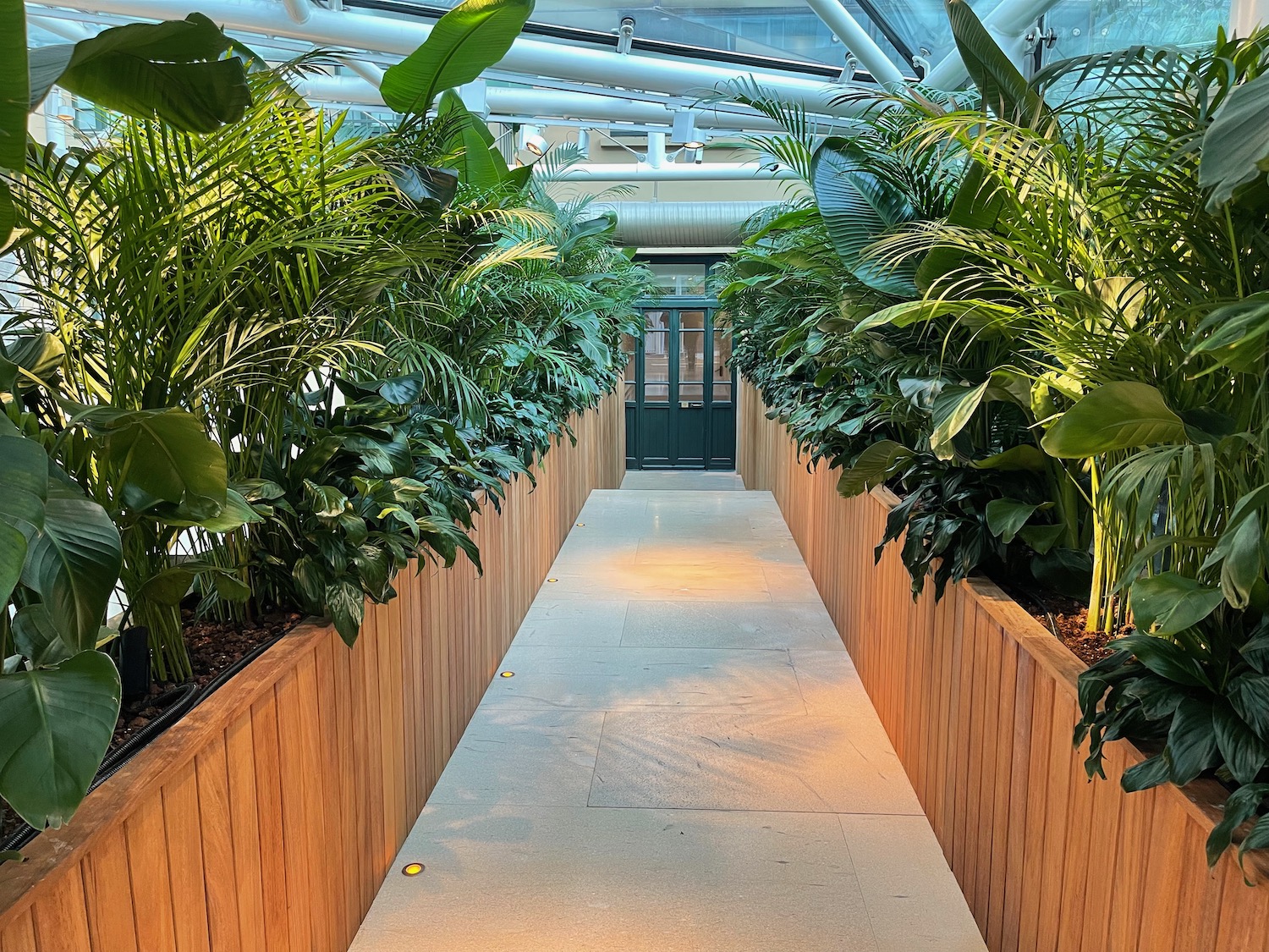 a walkway with plants in it