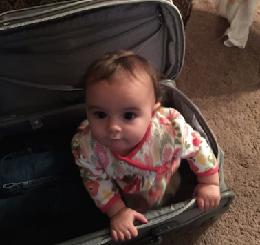 a baby sitting in a suitcase