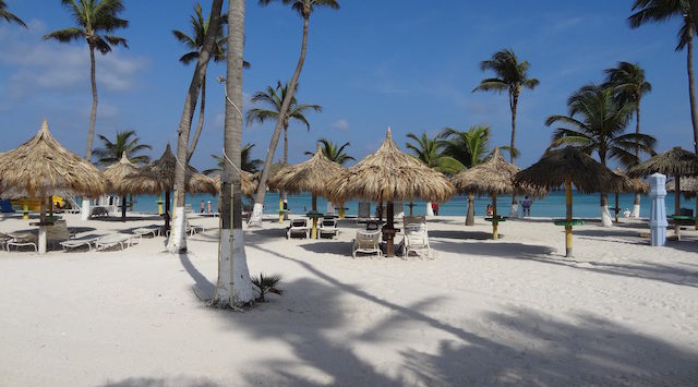 a beach with palm trees and chairs