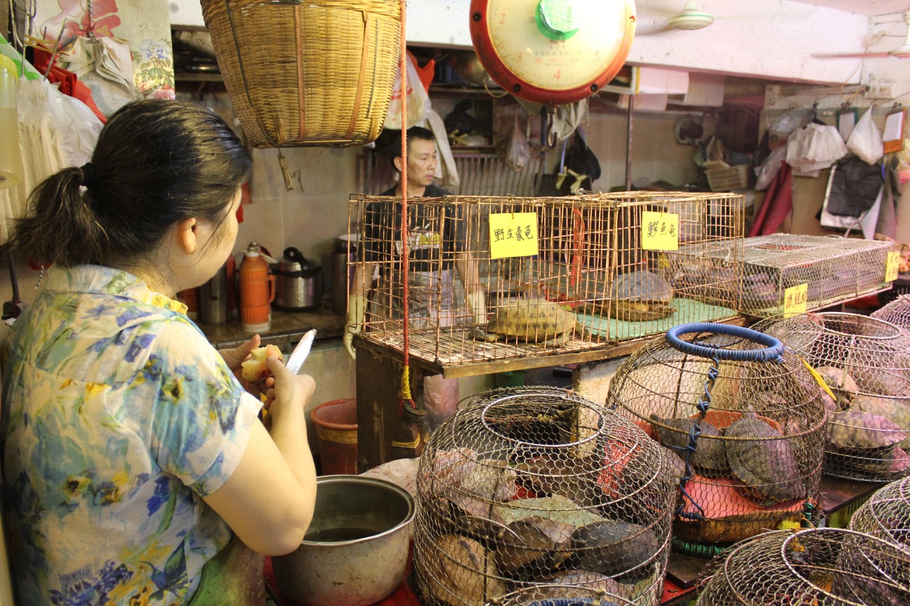 a woman in a cage with turtles