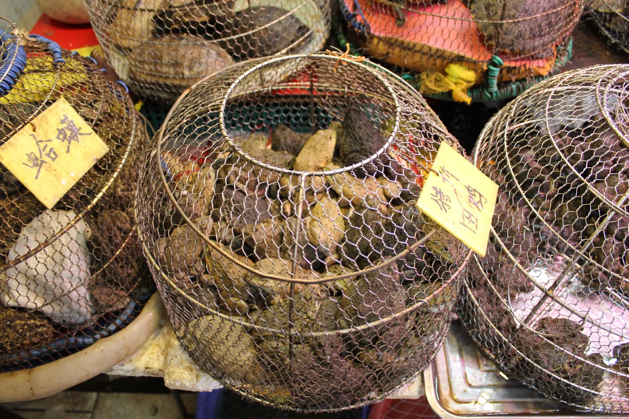 a group of rocks in a mesh basket