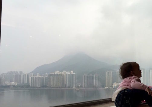 a baby sitting on a window ledge looking out a city