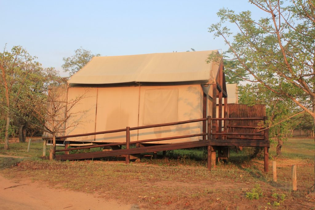 nkambeni safari camp reviews