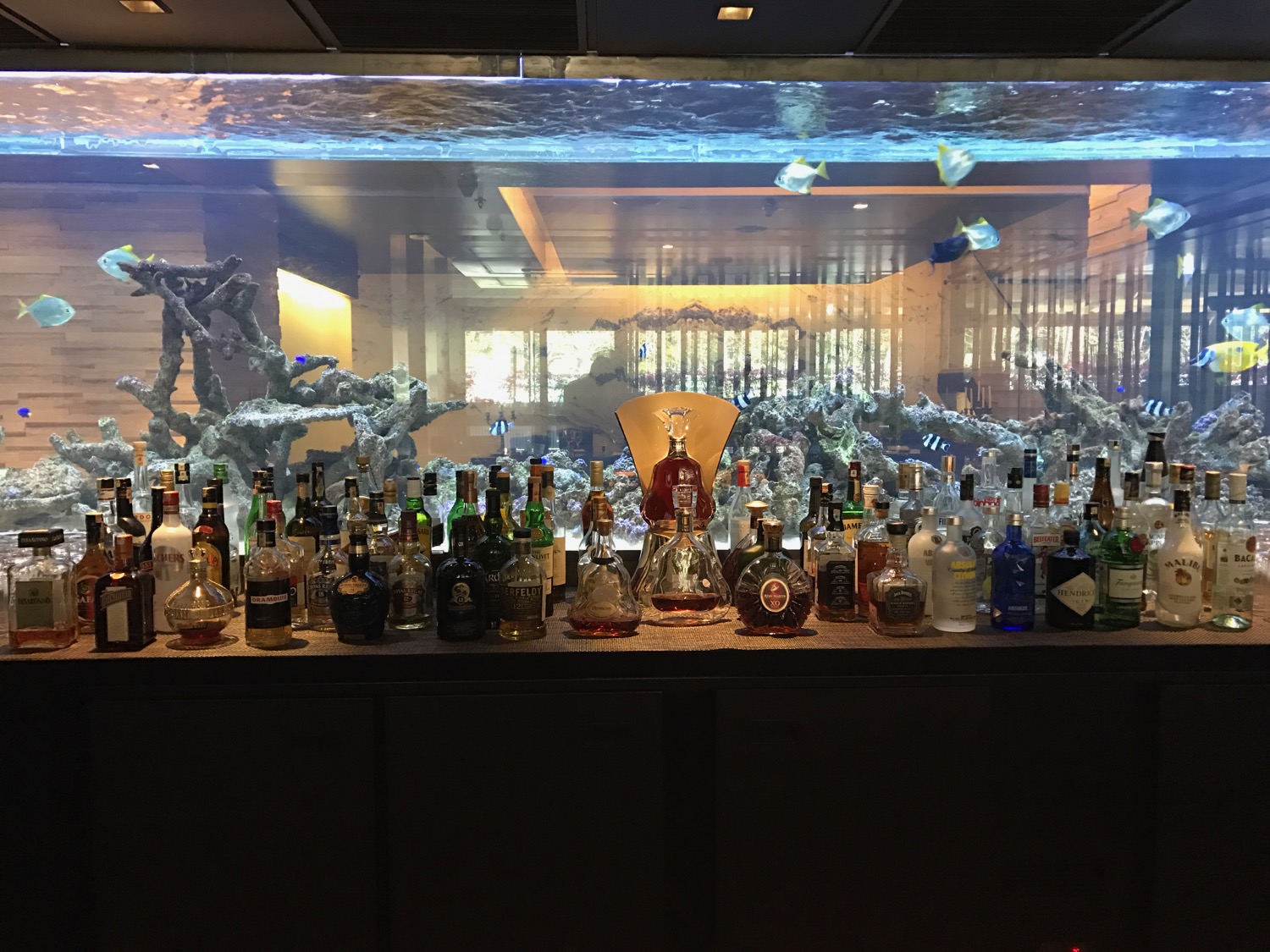 Review Hyatt Centric Levent Istanbul (Suite) Live and Let�s Fly