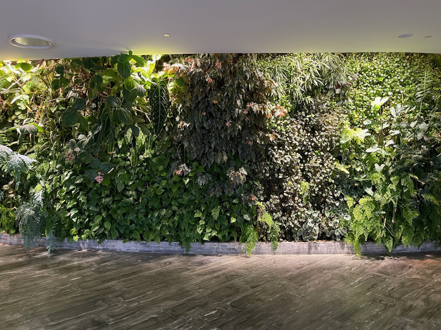 a room with a wall of plants