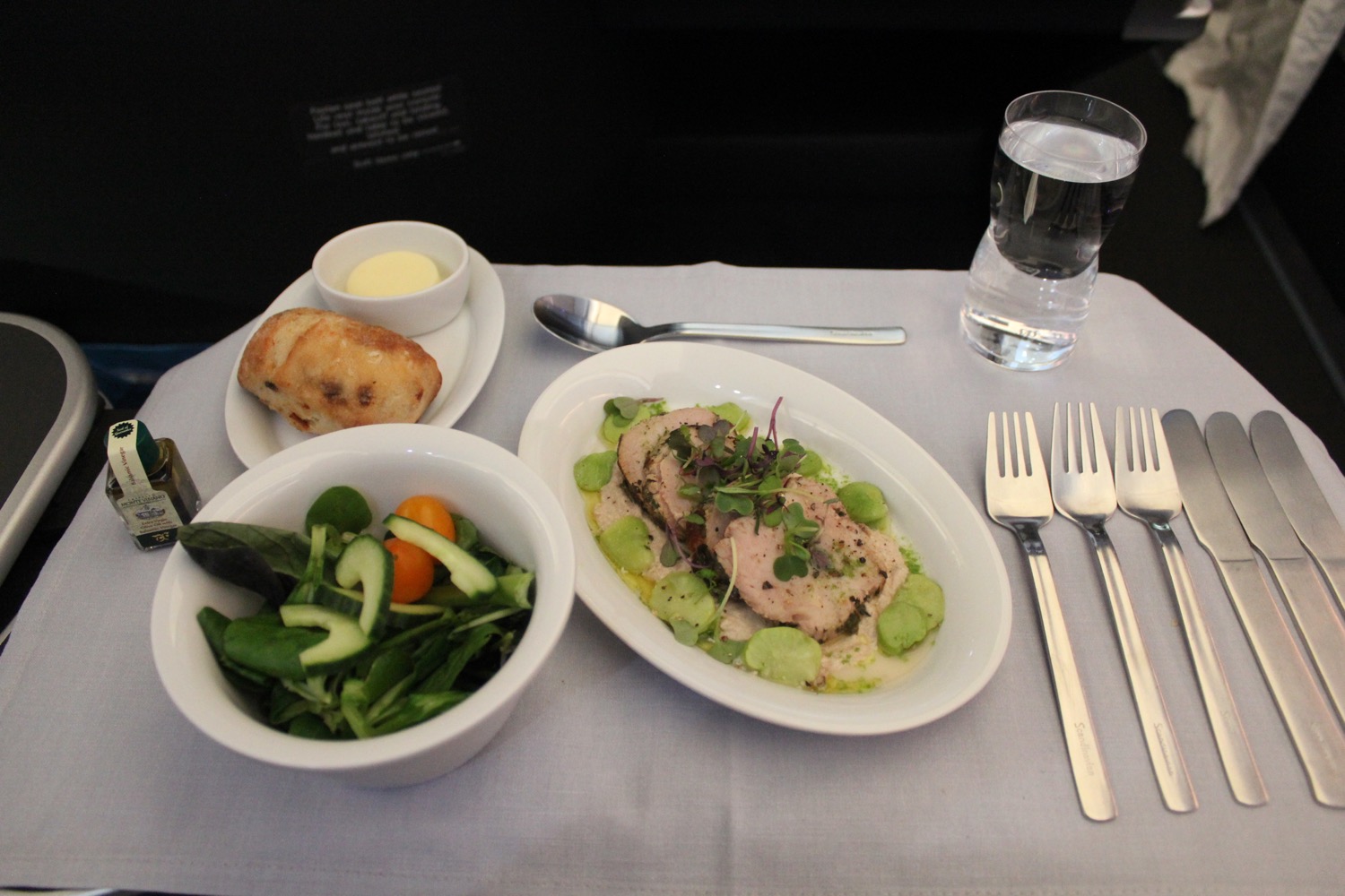 Beef Filet Vs. Swordfish In SAS Business Class Live and Let's Fly