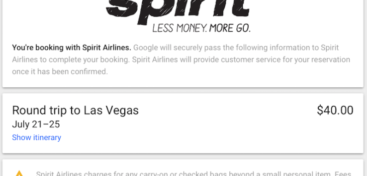 Booking Spirit With Google payment screen