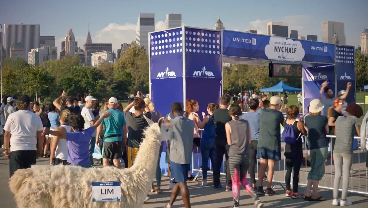 Did You Catch These Four Inside Jokes in the New United Safety Video