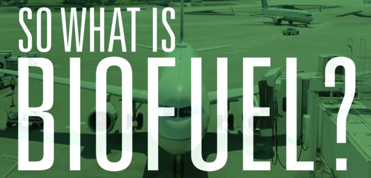 What is Biofuel