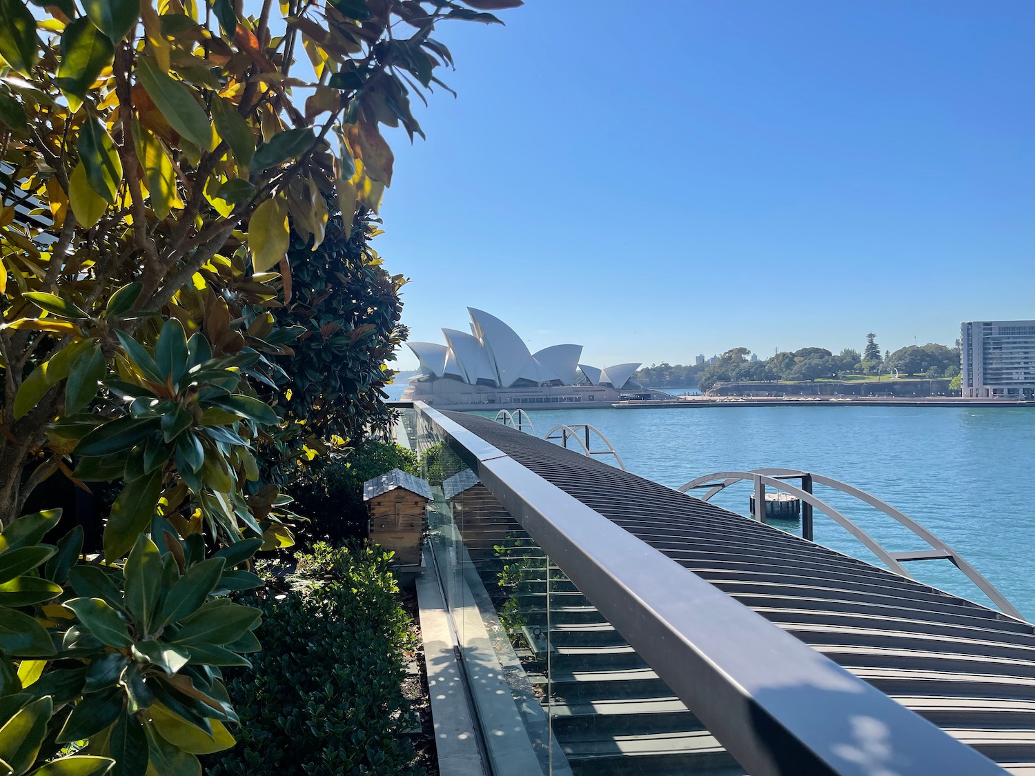 a railing overlooking a body of water