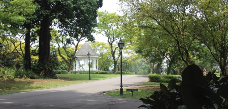 Singapore Botanic Gardens Review