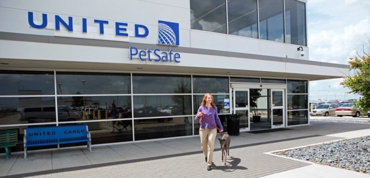 a woman walking a dog in front of a pet safe building