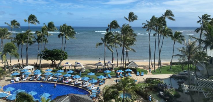 a pool with umbrellas and palm trees on a beach