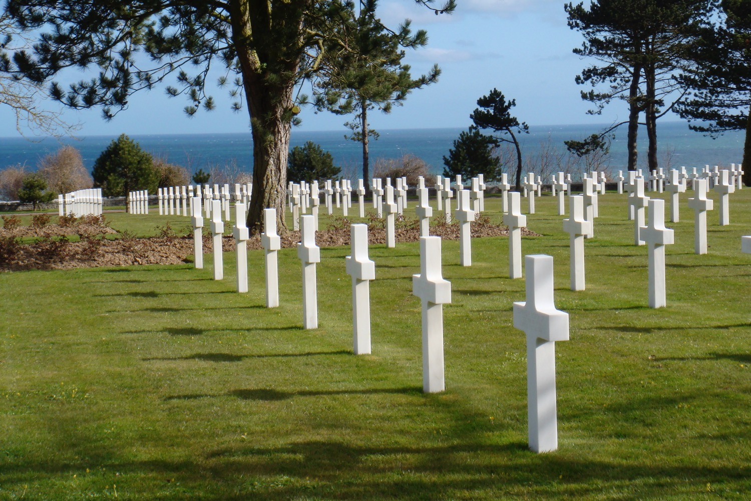 a group of white crosses in a field