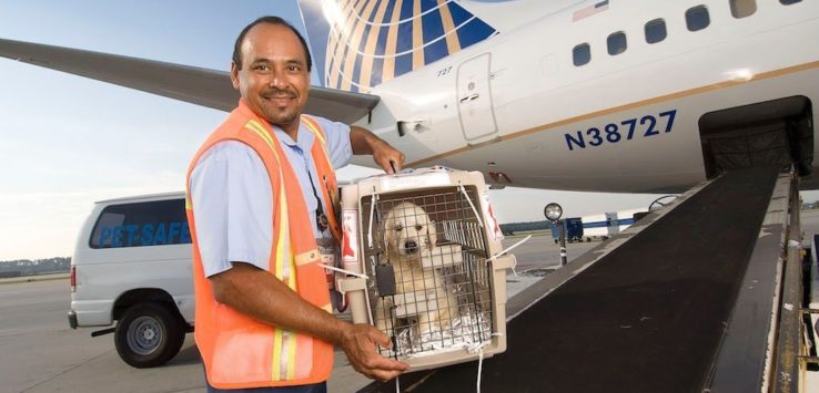 a man holding a dog in a crate