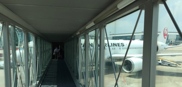 JAL 767-300 Economy Class Review