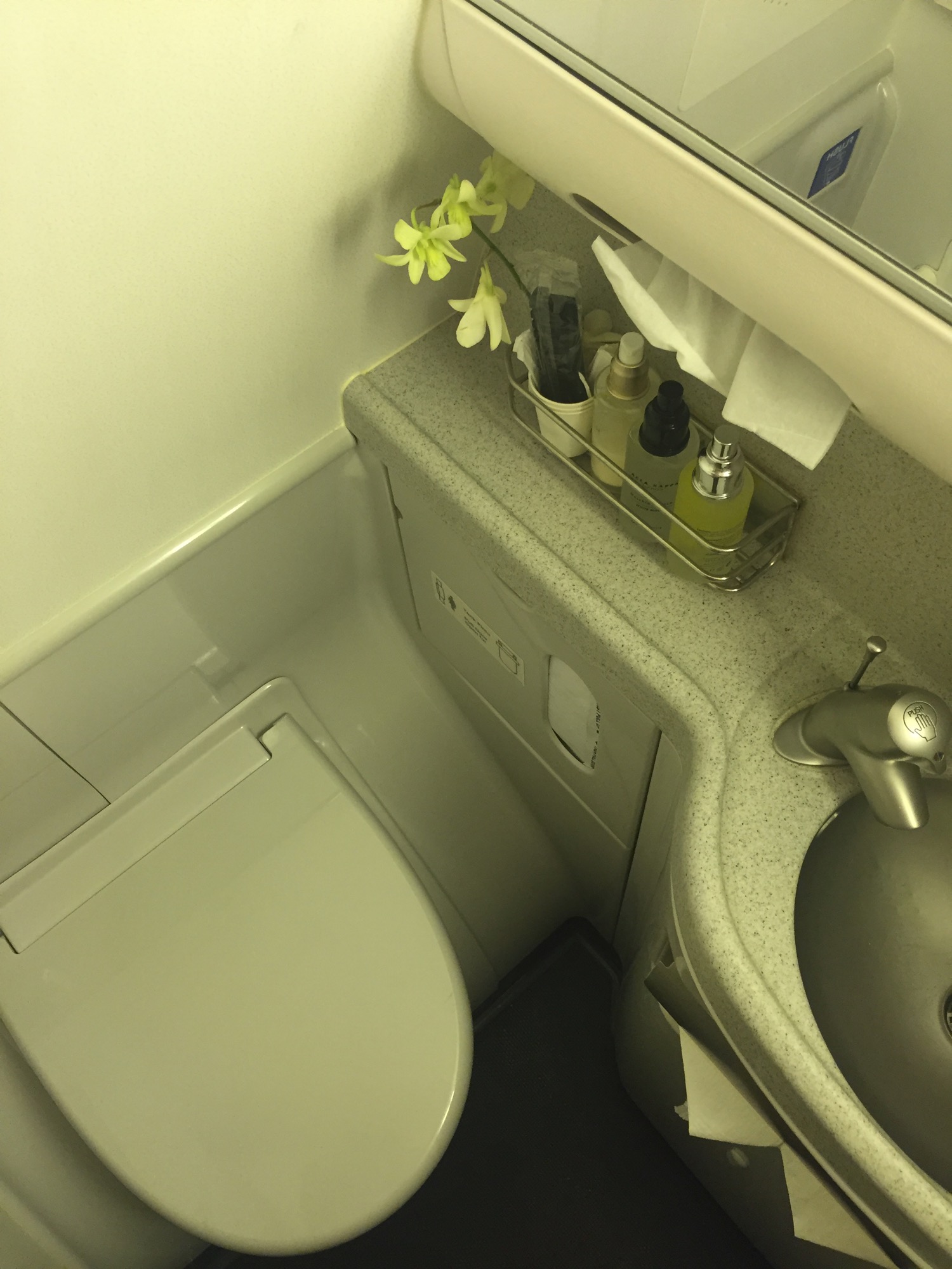 水槽和厕所，角落里有一朵花