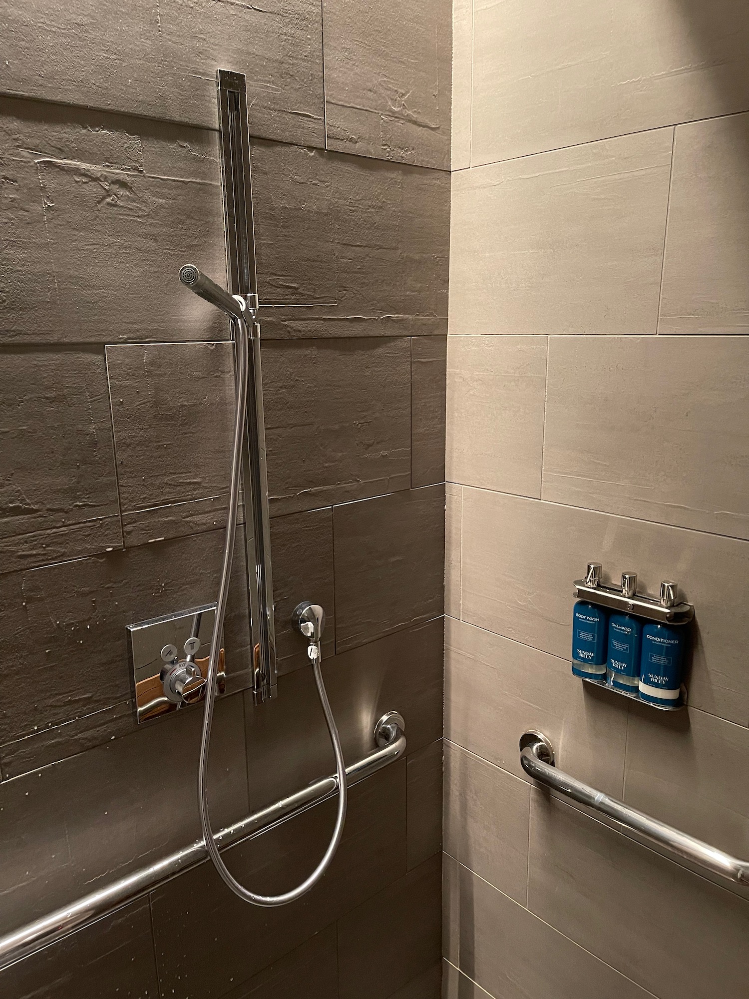 a shower with a hand shower and handrail