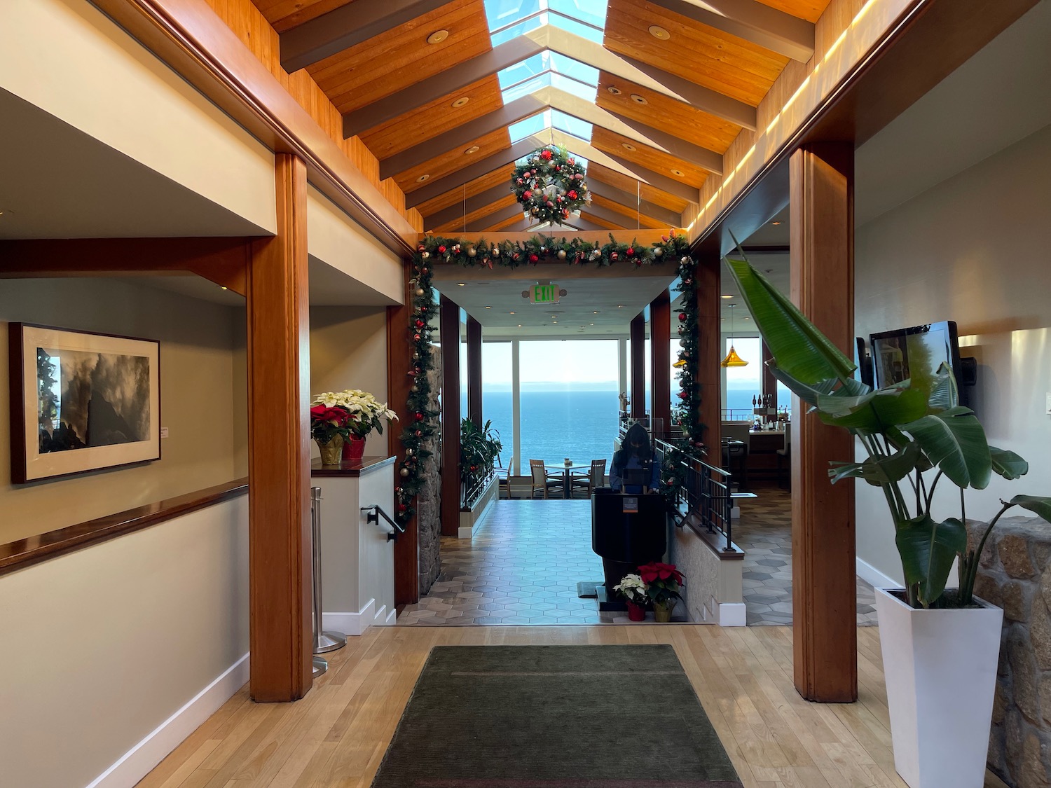 a hallway with a large window and a large green plant