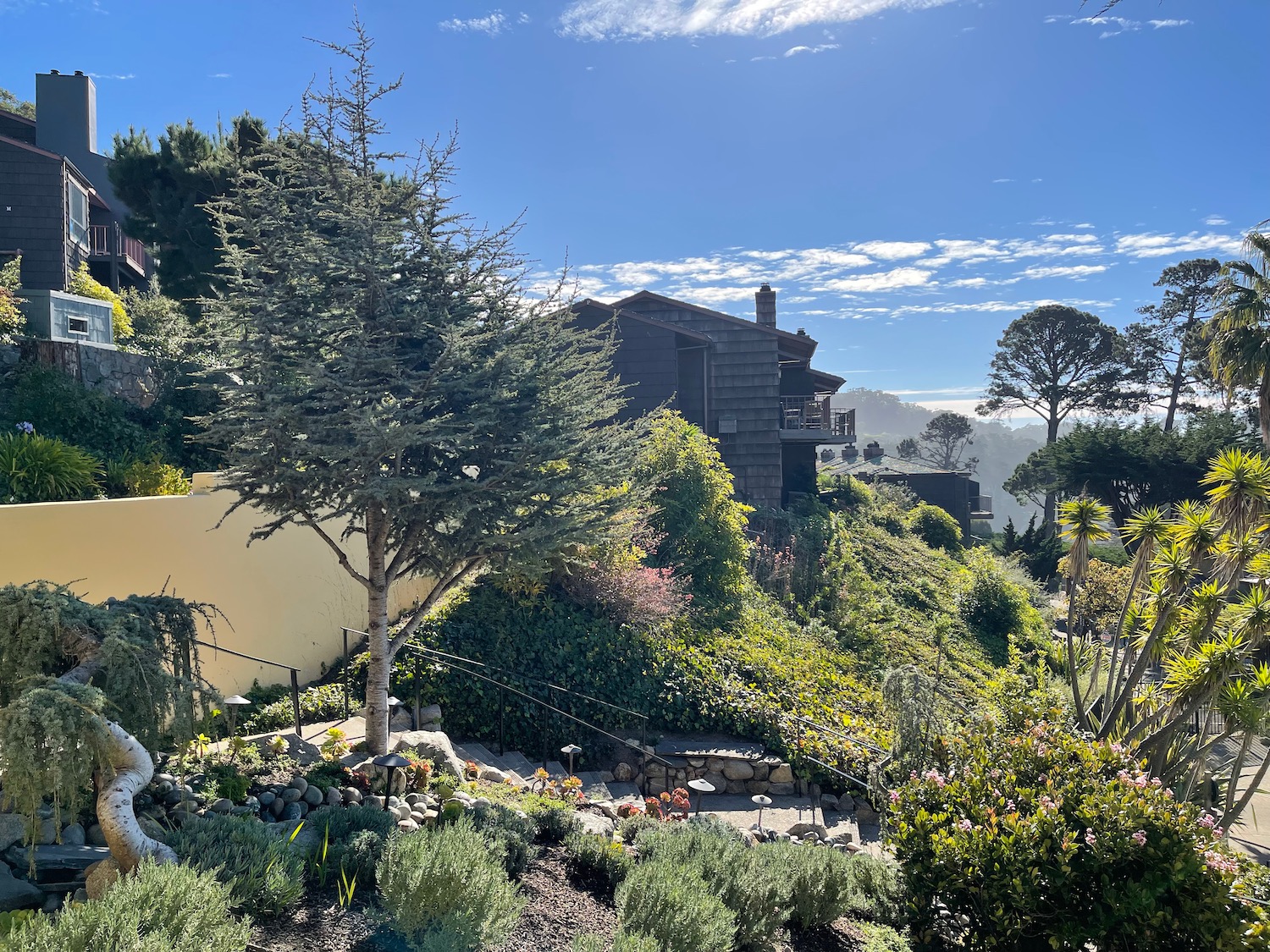 a house with trees and bushes on a hill