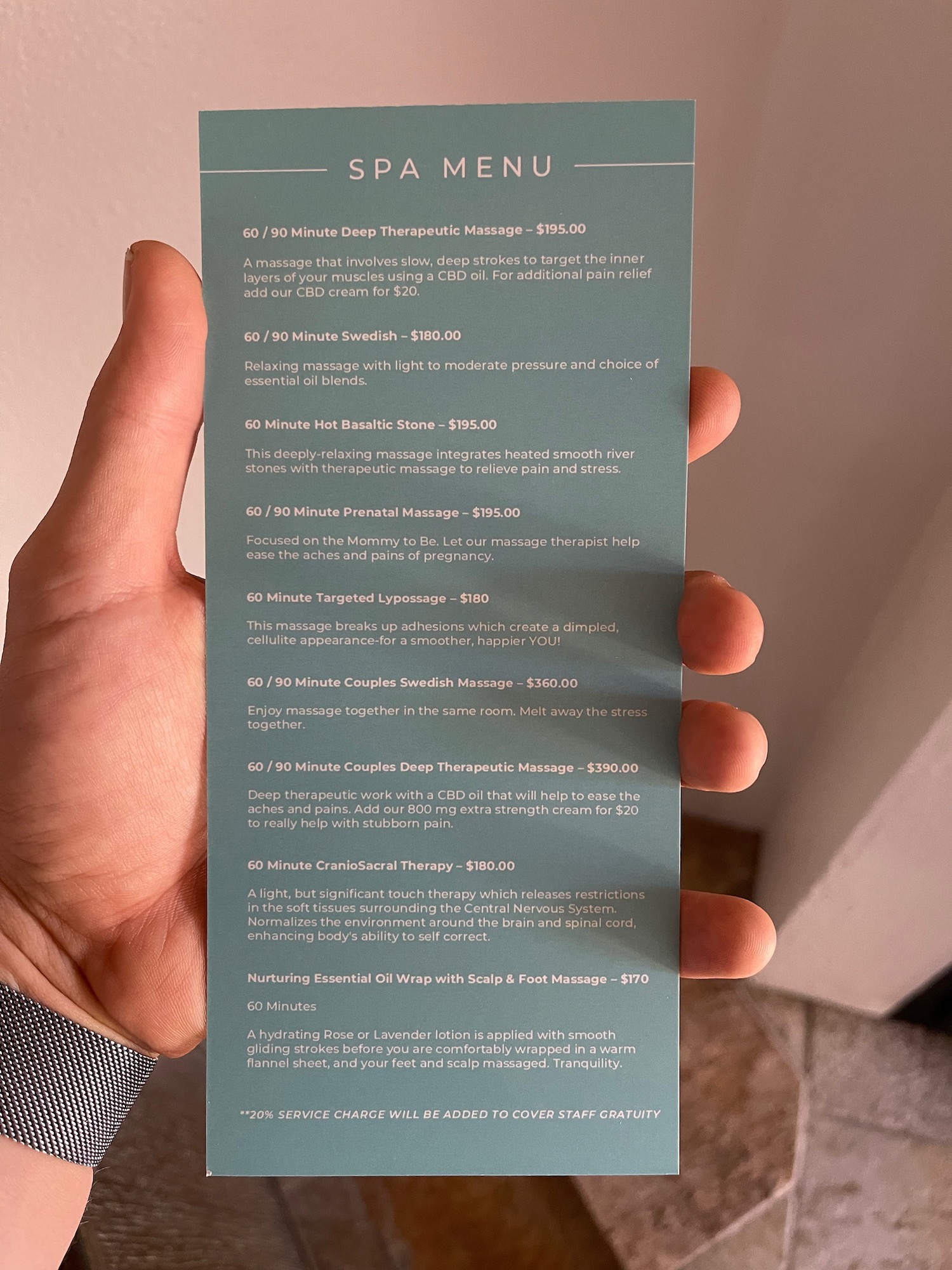 a hand holding a menu