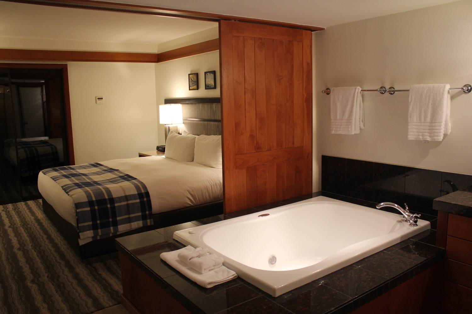 a room with a bed and a bathtub