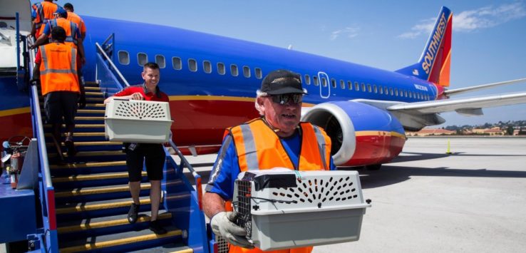 Southwest Airlines Emotional Support Animal Rules