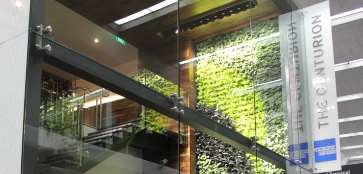 a glass wall with plants on it