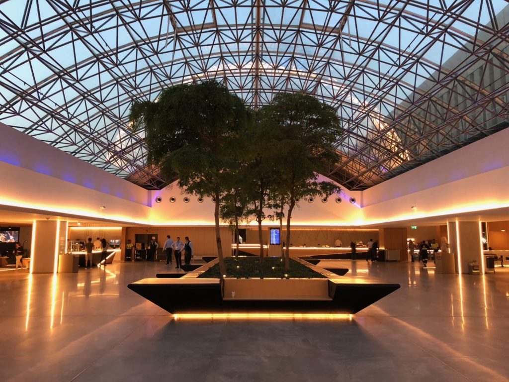 Review: MEA Cedar Lounge Beirut (BEY) - Live and Let's Fly