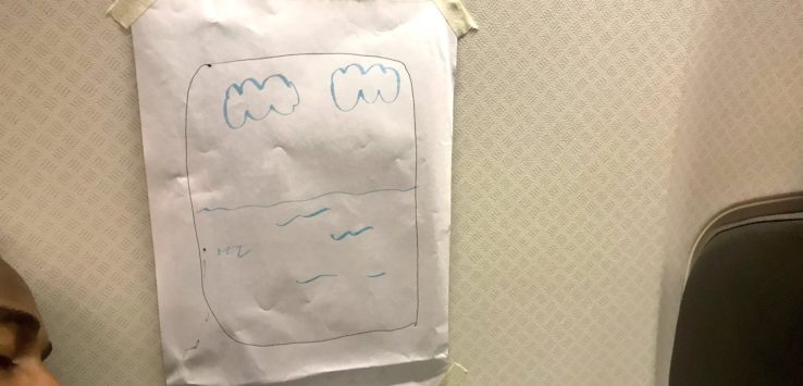 Flight Attendant Draws Window Seat