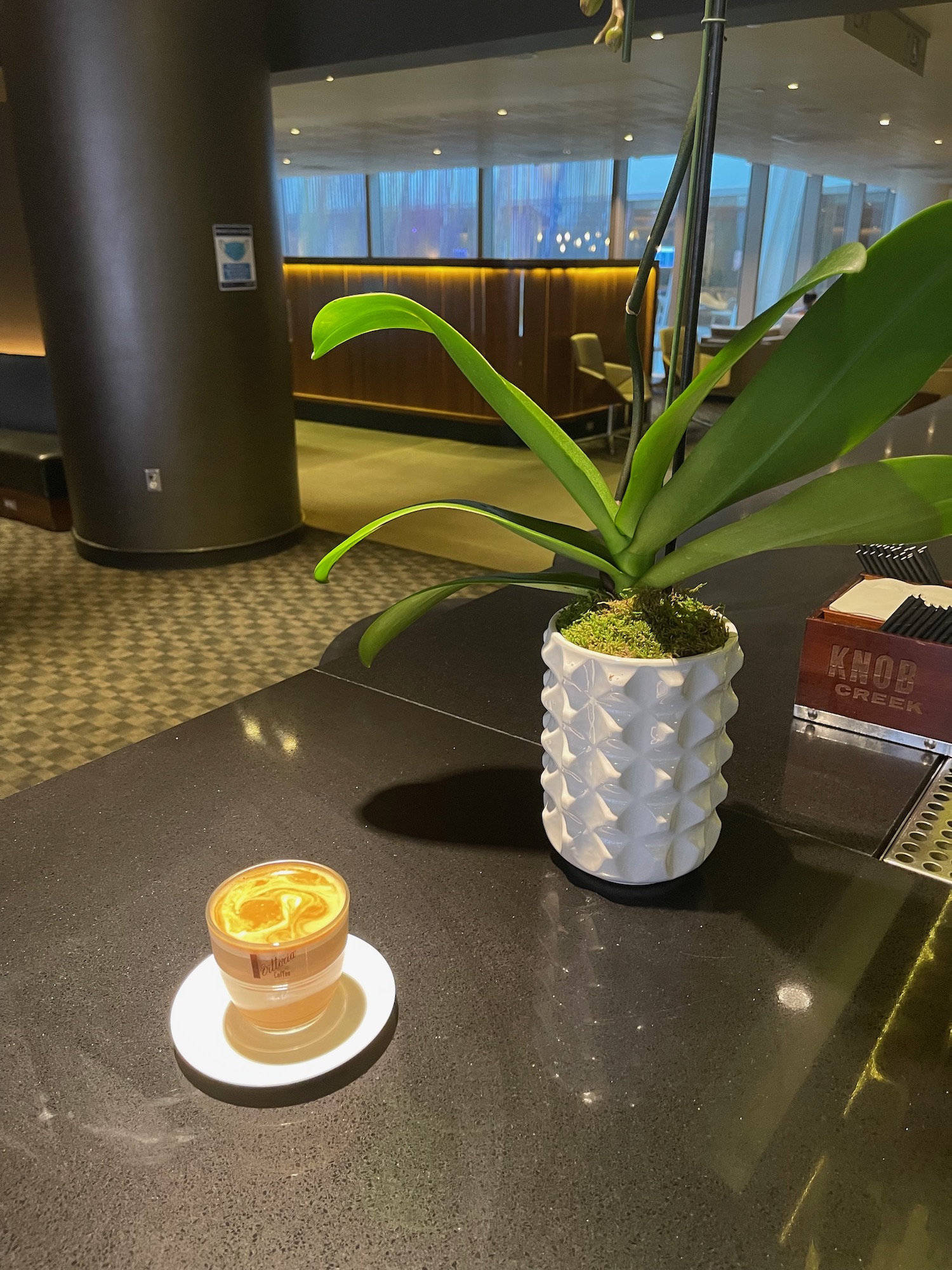 a plant in a white pot and a cup of coffee on a table