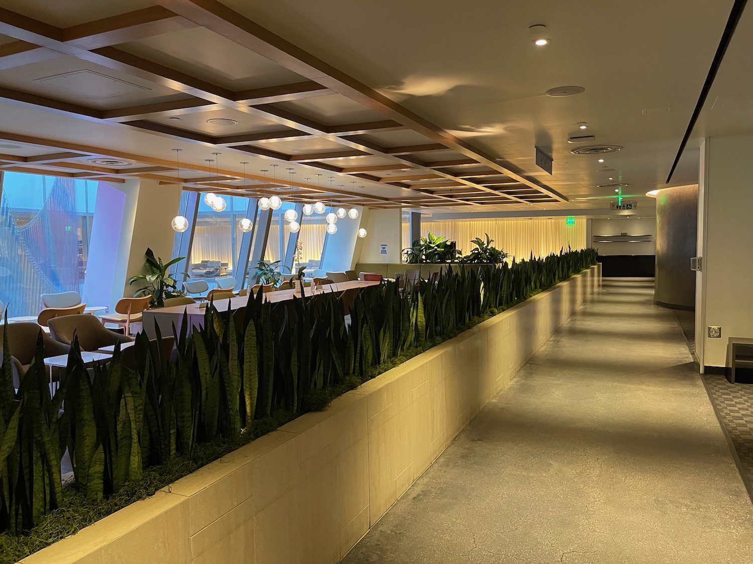 a long hallway with plants and lights