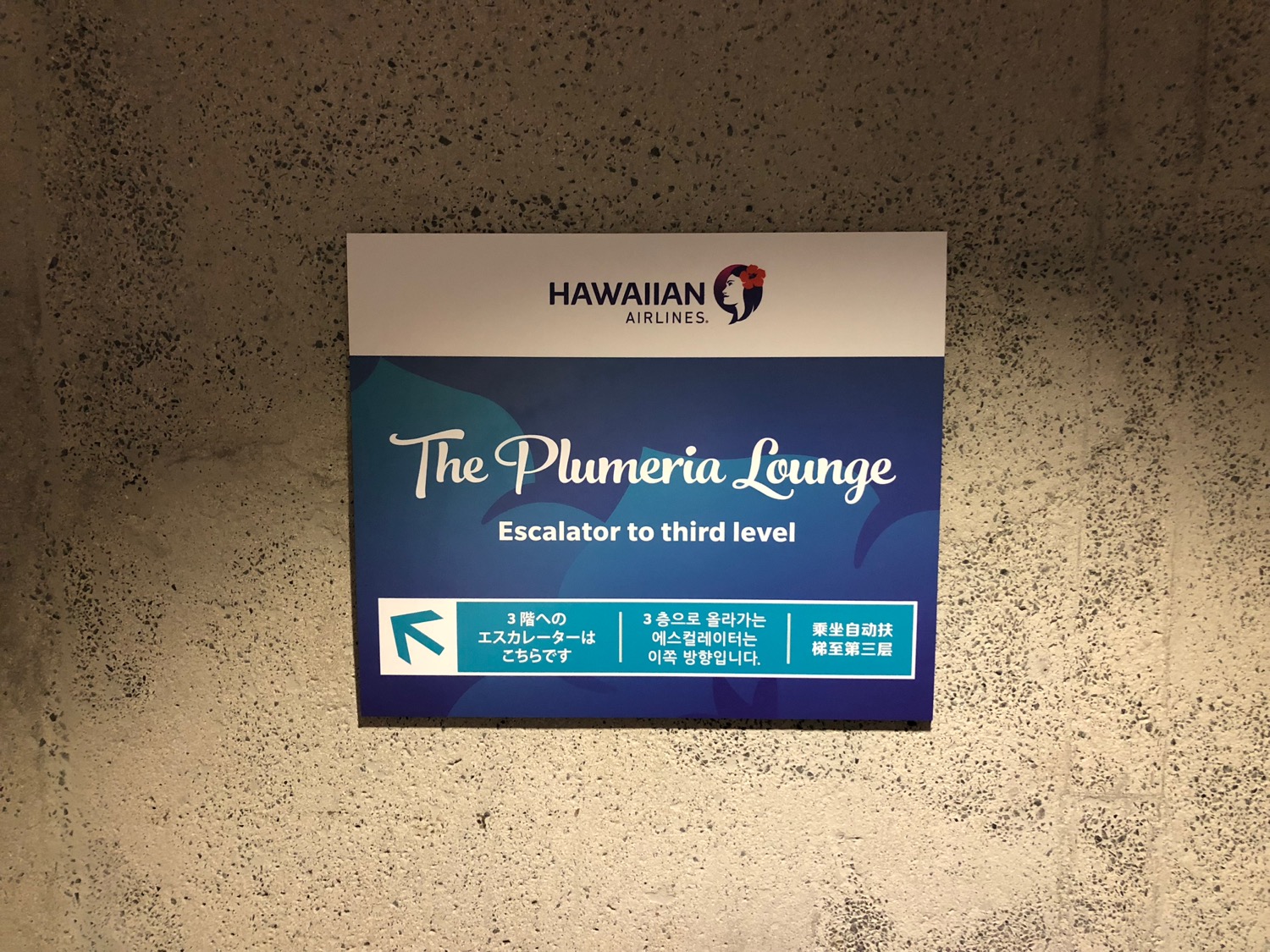 Review Hawaiian Airlines Plumeria Lounge Honolulu (HNL) Live and Let