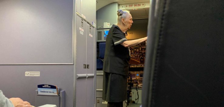 Superb United Flight Attendant