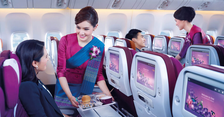 Thai airways pet travel hot sale cost