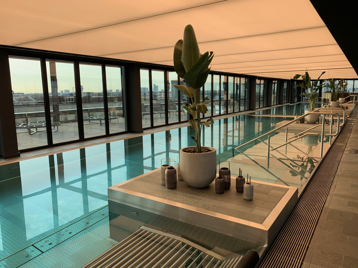 indoor swimming pool with plants and a large window