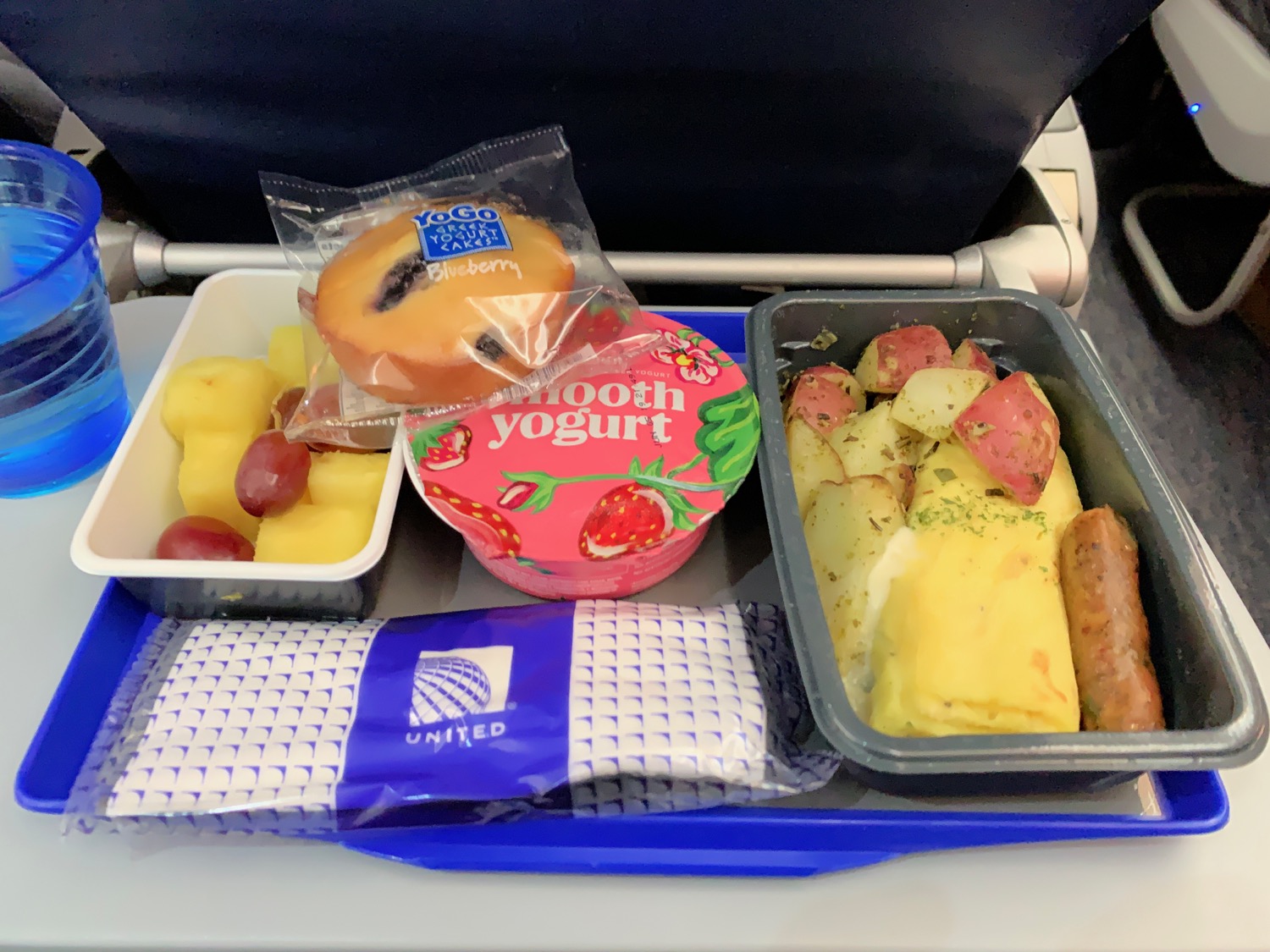 food on a tray on a plane