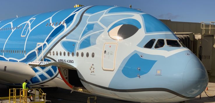 a blue and white airplane with a blue design on it