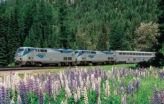 Amtrak Long-Haul Cuts