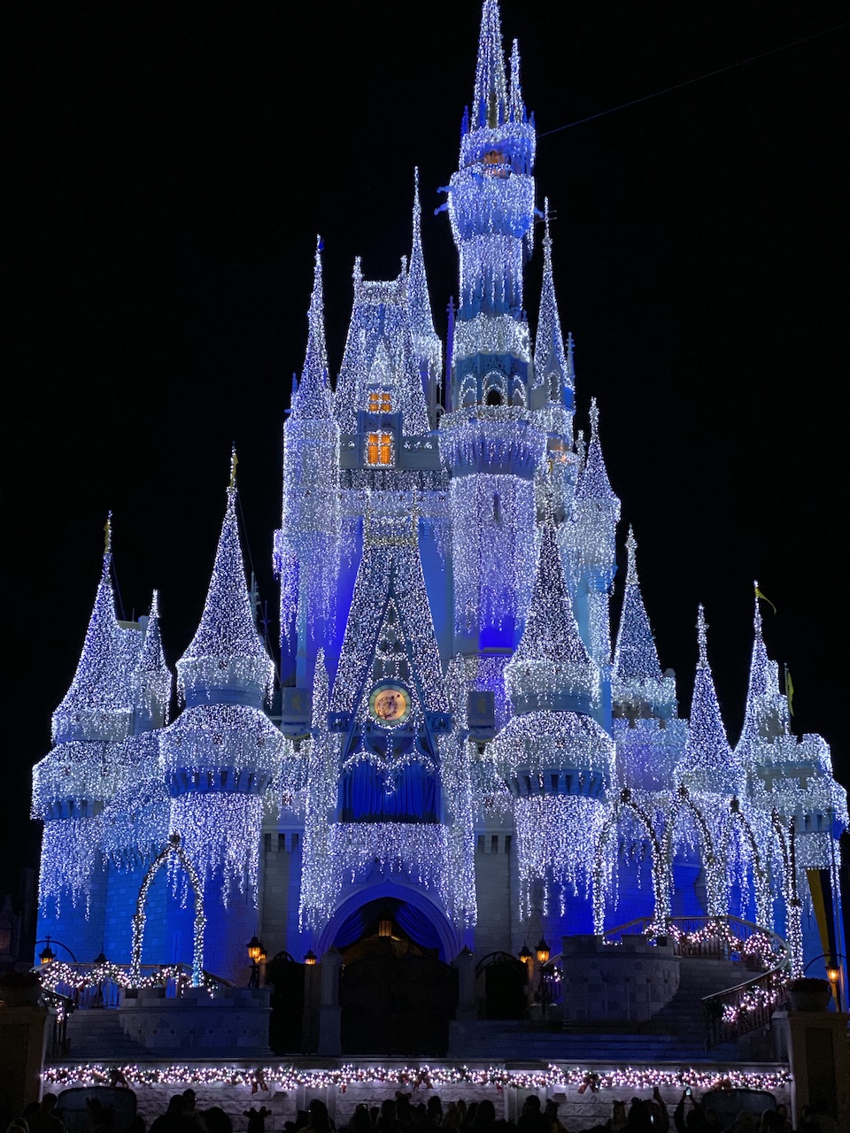 Disney's Magic Kingdom