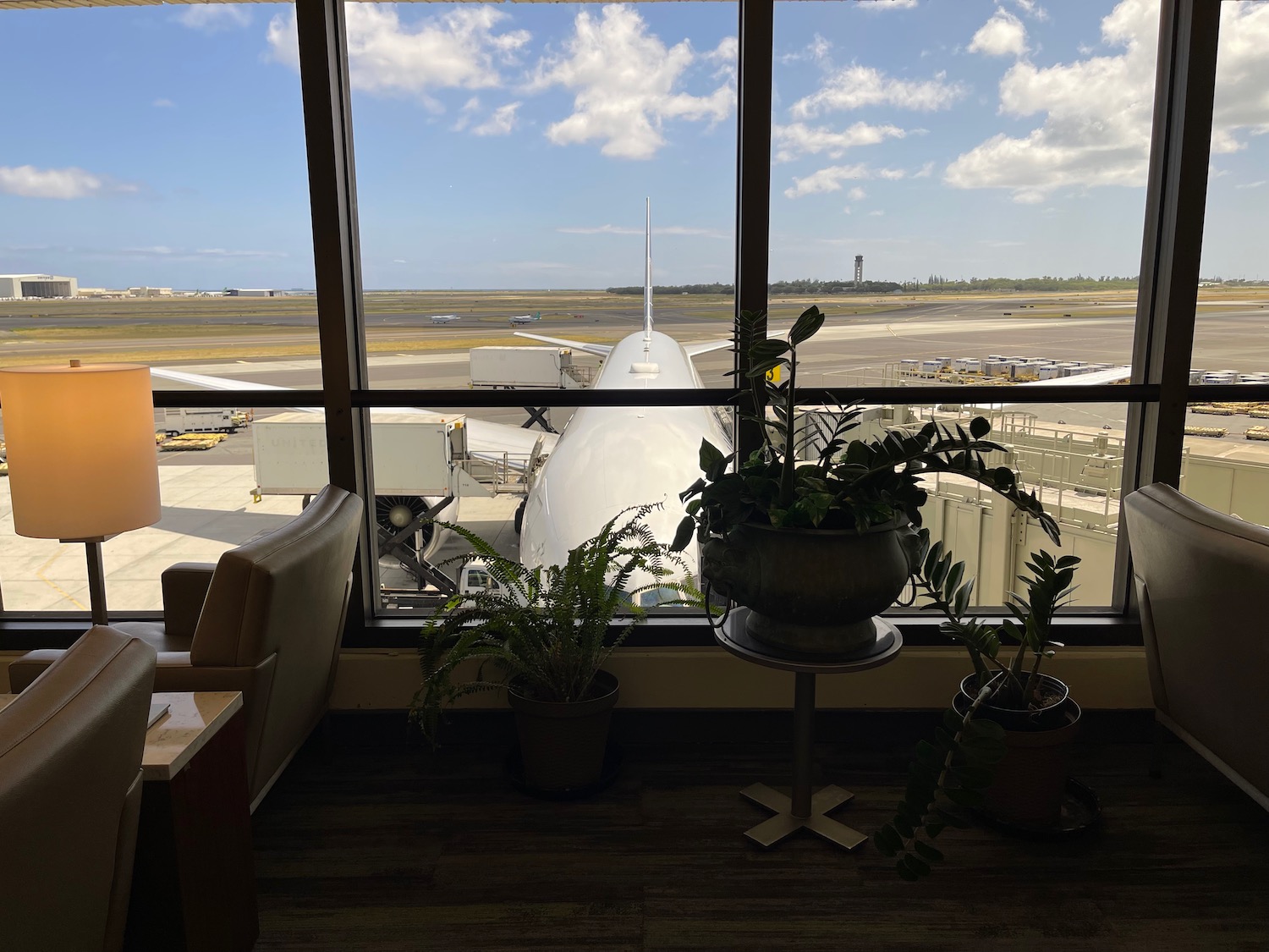 a window with a plane and a potted plant