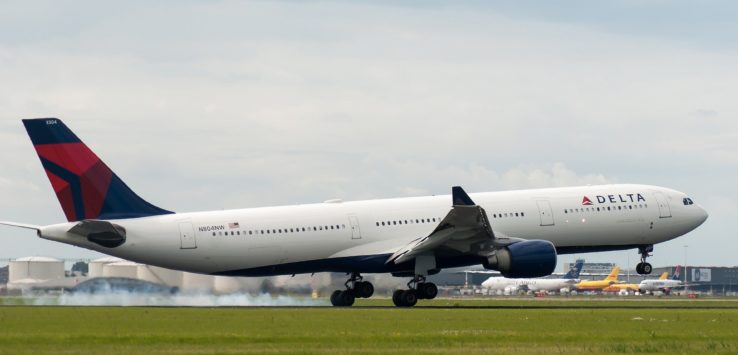 Delta Fires Flight Attendant