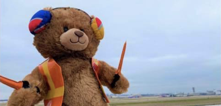 Southwest Airlines Bear