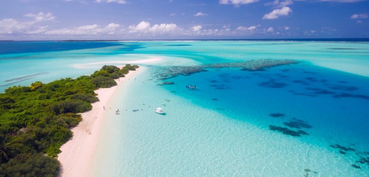 a beach with trees and blue water