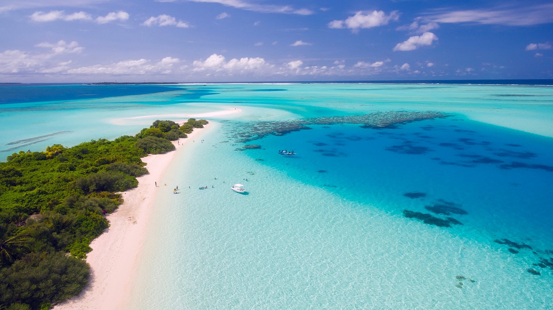 a beach with trees and blue water