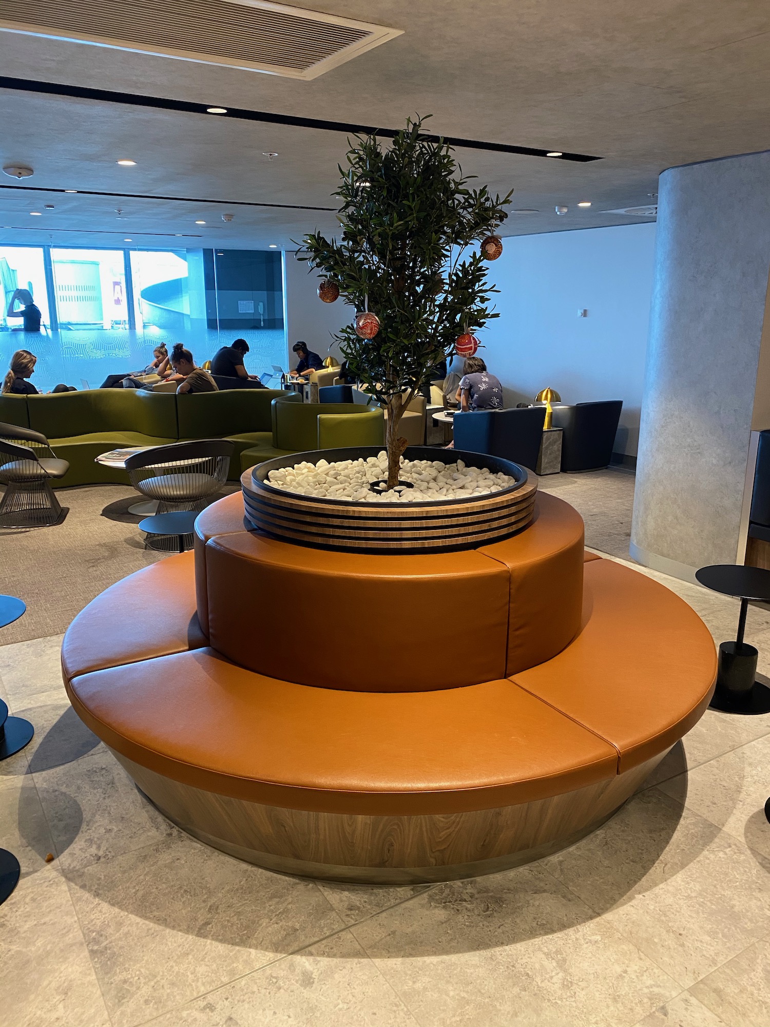 a tree in a room with chairs and tables