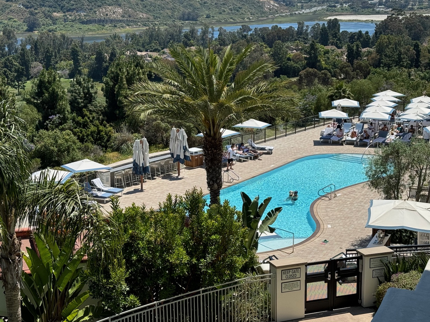 a pool with umbrellas and chairs and trees