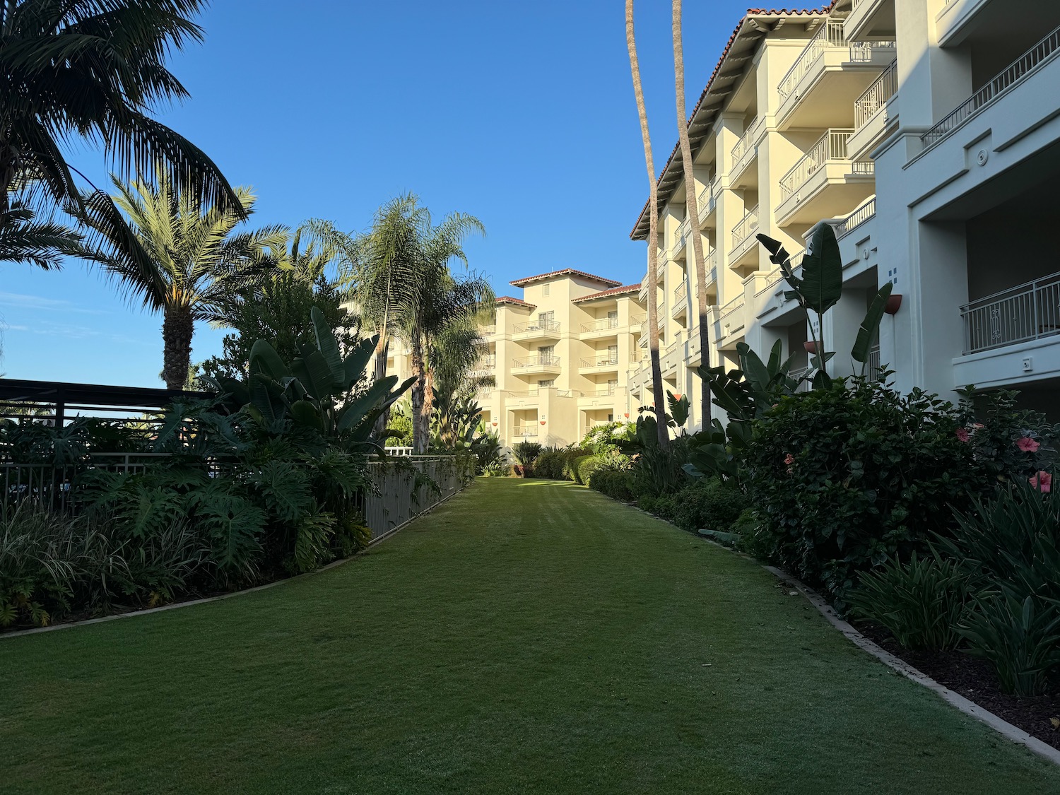 a green lawn with trees and buildings in the background