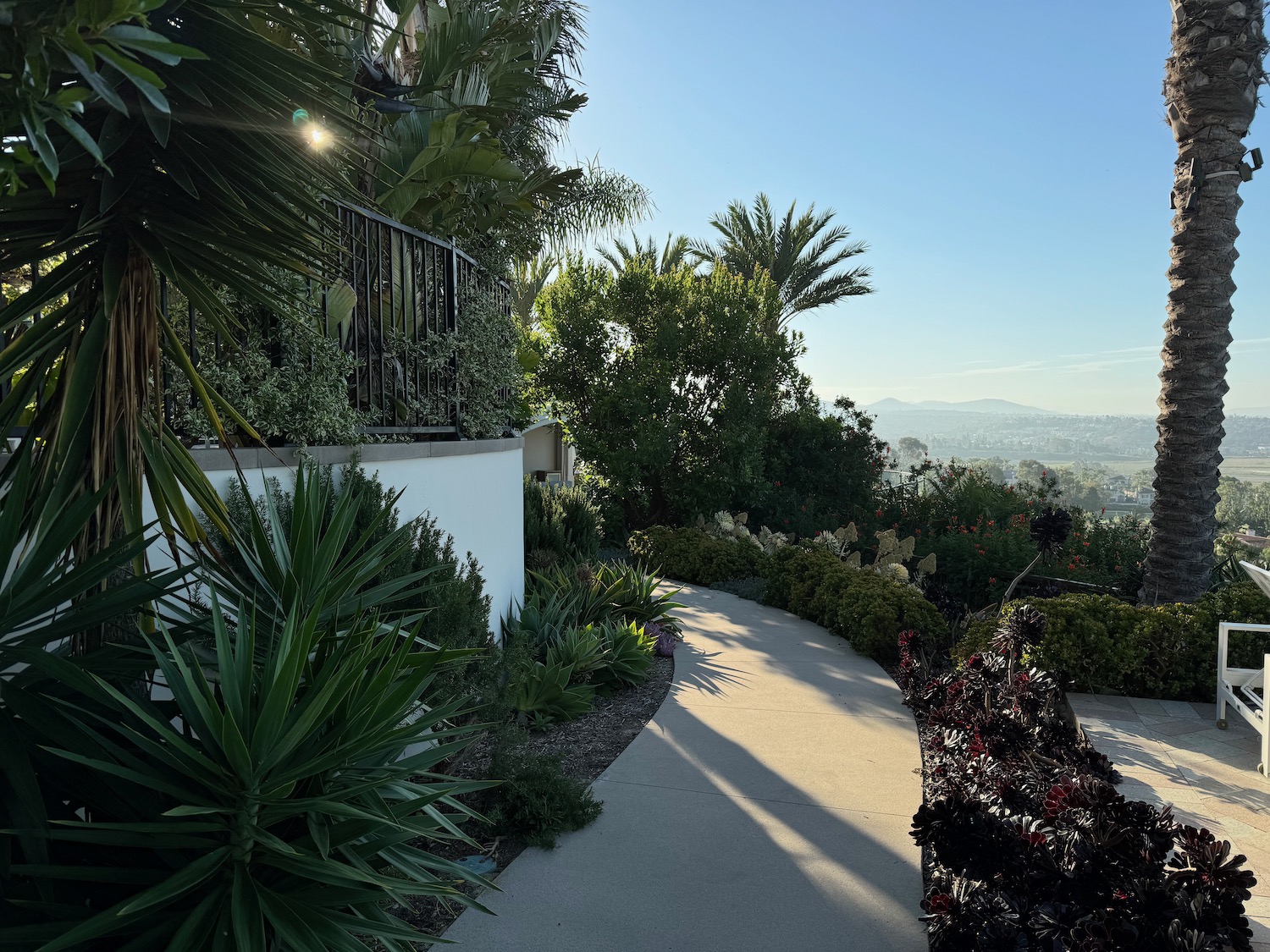 a walkway with plants and trees